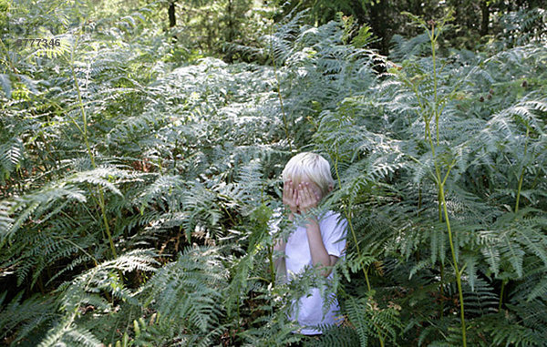 Junge versteckt sich in Farnen