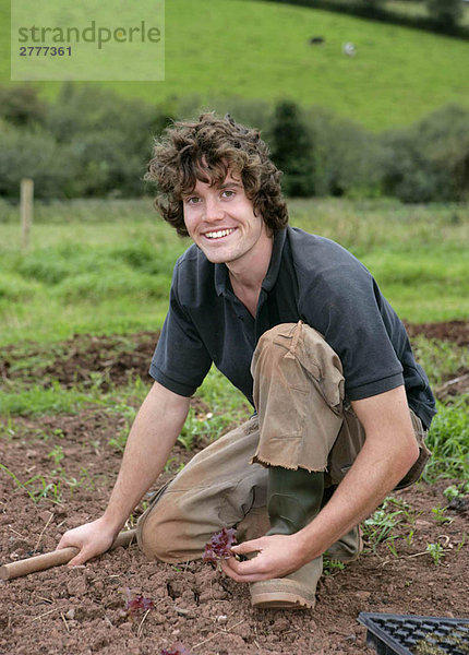 Portrait junger Mann beim Salatpflanzen