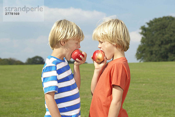 zwei Jungen  die Äpfel essen