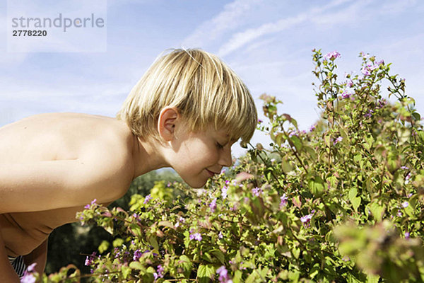 Junge riechende Blumen