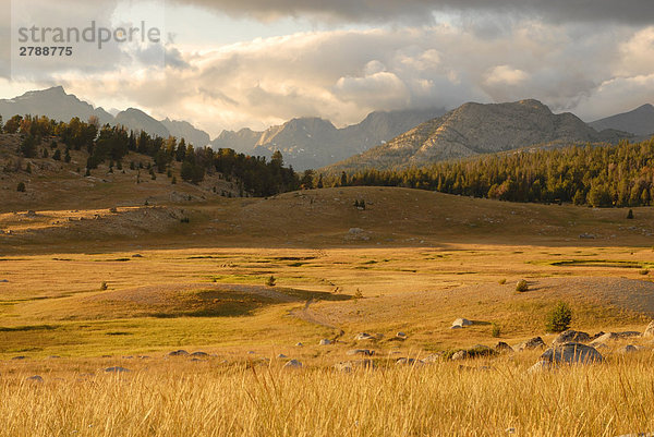 Landschaft mit Gebirge im Hintergrund  Wind River Range  Fish Creek Park  Wyoming  USA