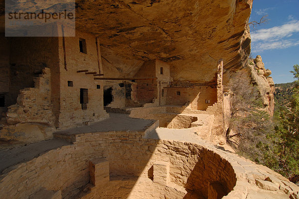 Alte Ruinen der Anasazi Klippenwohnungen  Mesa Verde National Park  Colorado  USA