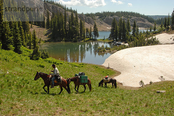Mann Pferd an der See  Colorado  USA Reiten