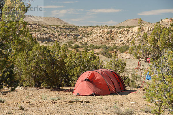 Zelt im Feld  New Mexico  USA