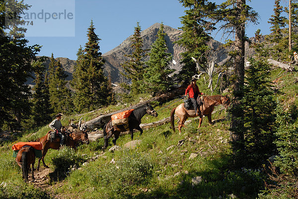 Menschen Reitpferde am Hang  Weminuche Wildnis  Colorado  USA