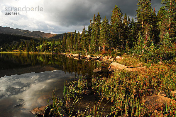 Besinnung bewölkung und Bäume im Wasser  Bear Lake  Rocky Mountain National Park  Heiligen Kreuz Wildnis  Colorado  USA