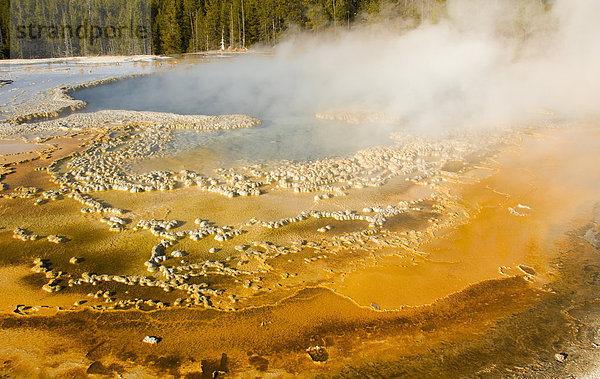 Dampf-emittierende aus natürlichen Geysir  Yellowstone National Park  Montana  USA