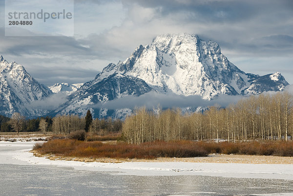 Bäume vor Gebirge  Grand Teton  Wyoming  USA