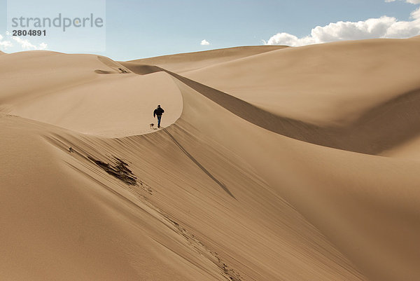 Rückansicht des Mannes zu Fuß in Sanddüne  Great Sand Dunes National Park  Colorado  USA