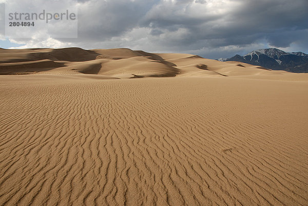 Gewellt auf Sanddüne  Great Sand Dunes National Park  Colorado  USA