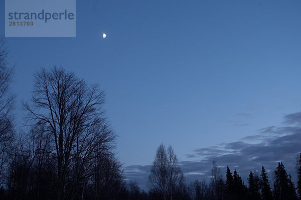 Einen Mond in den dunklen Schweden.