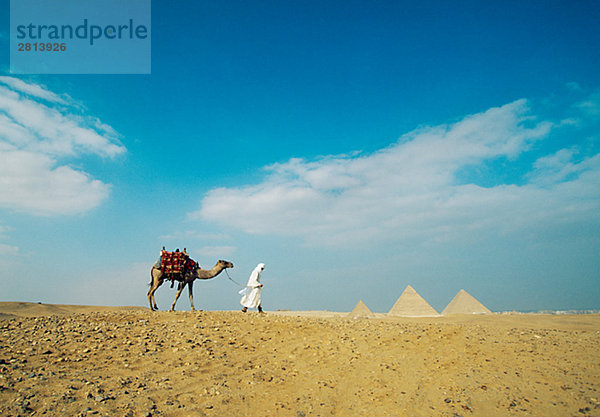 Eim Bettuin gehen mit ein Kamel in der Wüste Ägypten.