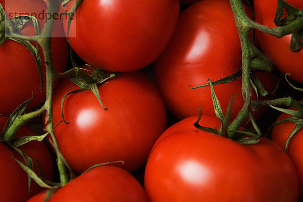 Frische Tomaten Schweden.