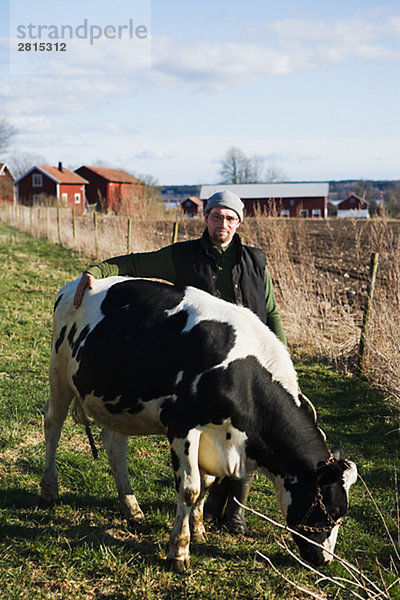 Ein Bauer und eine Kuh Schweden.