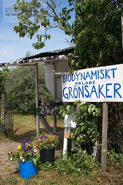Biologisch erzeugte Gemüse Oland Schweden.