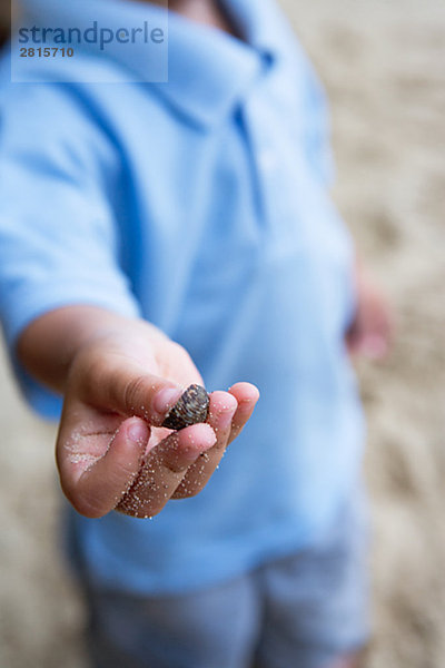 Ein Junge halten eine Muschel.