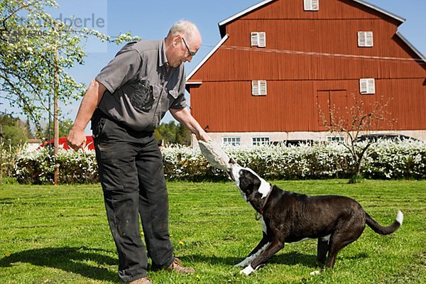 Ein Mann mit einem Hund Schweden spielen.