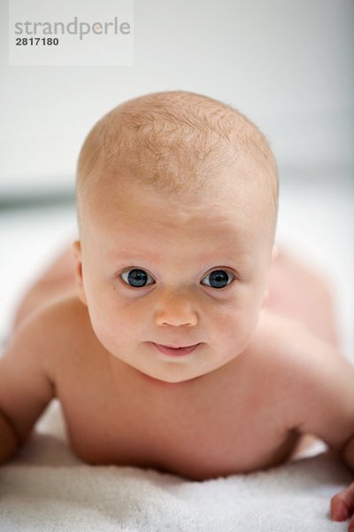 Portrait von eine Baby-Schweden.