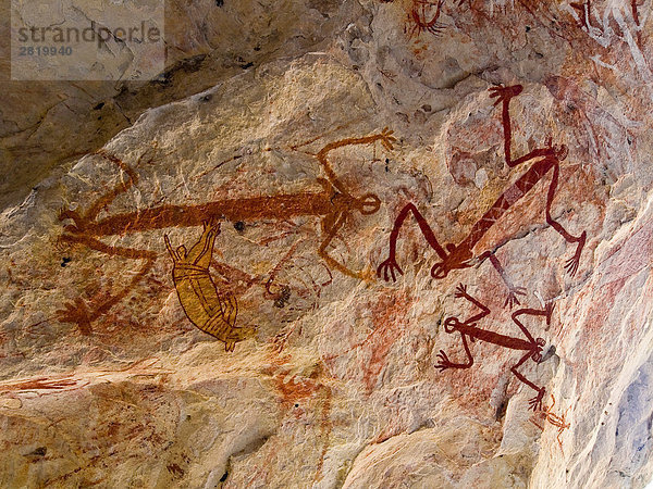 Felsenmalereien nahe Mount Borradaile  Australien