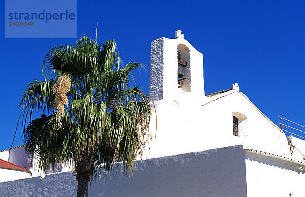 Palme vor der Kirche  Es Canyar  Ibiza  Balearen Inseln  Spanien