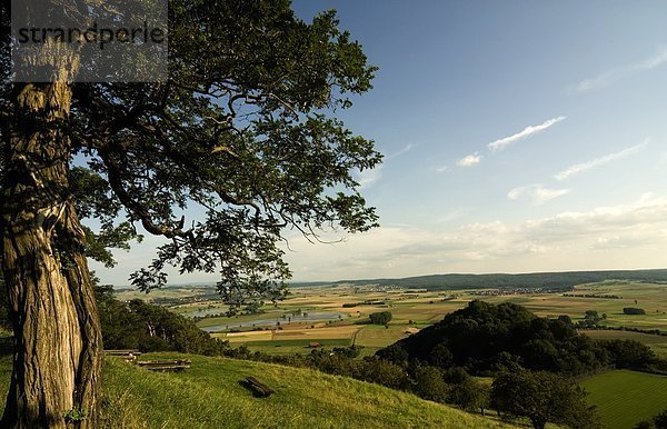 Panoramablick auf kultiviertem Land  Amoeneburg  Landkreis Marburg-Biedenkopf  Hessen  Deutschland