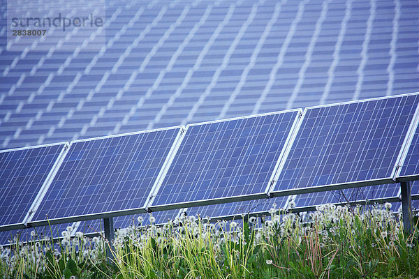 Solar-Panels in Feld