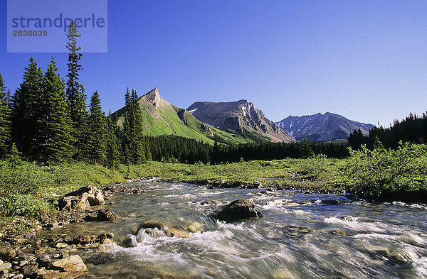 Badger Pass  Banff-Nationalpark  Alberta  Kanada.