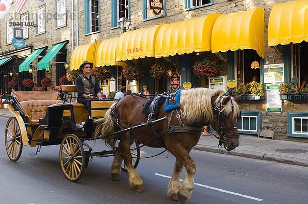 Pferd gezogen Beförderung entlang der Rue St. Louis  Quebec City  Quebec  Kanada.