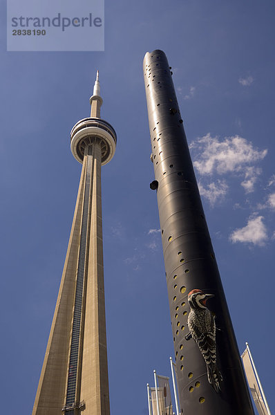 Fastwurms Specht Säule Skulptur und CN Tower von Toronto  Ontario  Kanada