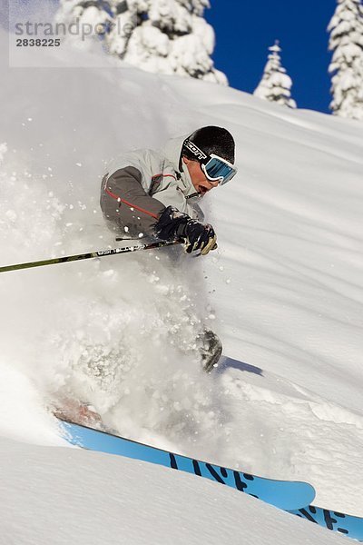 Junger Mann Ski Tiefe Pulver in Fernie Alpine Resort  Fernie  British Columbia  Kanada.