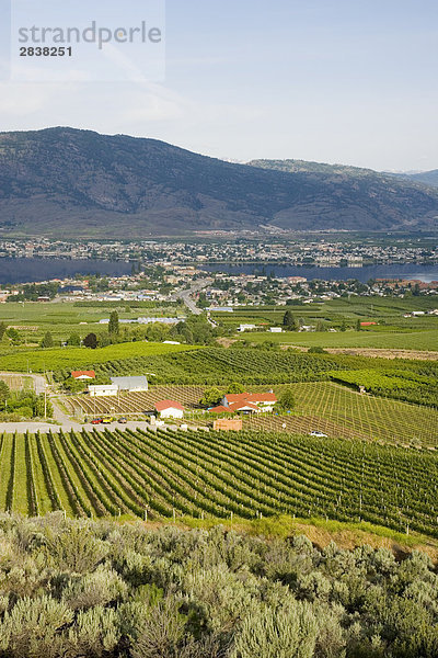 Großstadt See Ansicht British Columbia Kanada Weinberg