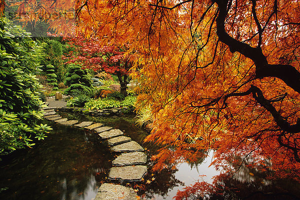 Herbst Farben in Butchart Gardens  Victoria  Vancouver Island  British Columbia  Kanada