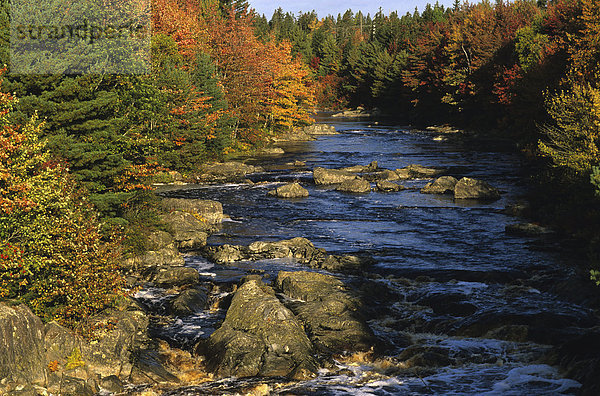 Sable River geschmückt mit fallen Farben  Nova Scotia  Kanada