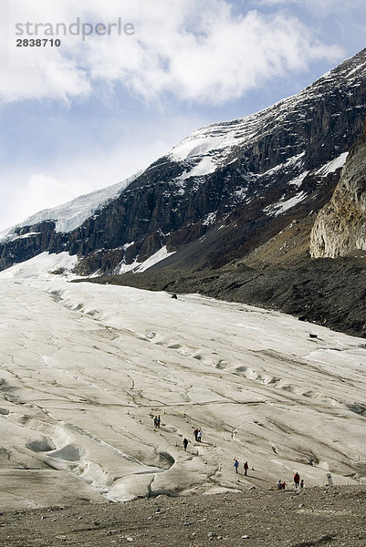 Menschen Klettern auf der Columbia Eisfeldern gebären  Jasper-Nationalpark  Alberta  Kanada.