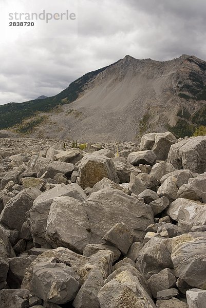 Mindestens 70 Personen wurden 1903 von der frank Folie  in der Nähe von Turtle Mountain in Crowsnest Pass  südlichen Rocky Mountains  Alberta  Kanada getötet.