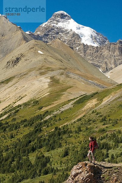Frau Wandern auf Parker Ridge mit Mount Athabasca im Hintergrund  Jasper-Nationalpark in Alberta  Kanada.