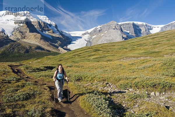 Frau Wandern bis zum Wilcox-Pass mit der Athabasca-Gletscher und der Columbia Eisfeldern gebären im Hintergrund  Jasper-Nationalpark in Alberta  Kanada.