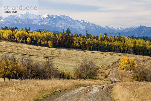 Fallen Sie Farben und Coast Mountains in der Nähe von Clinton  British Columbia  Kanada.