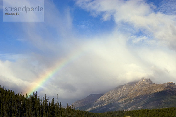 Regenbogen und Herbst Lärchen auf Bergseite  Banff-Nationalpark  Alberta  Kanada.