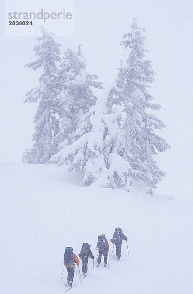 Skifahrer Touren entlang Paul Ridge in Richtung Elfin Seen  Garibaldi Provincial Park  British Columbia  Kanada.