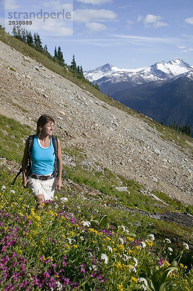 Frau Wandern in Whistlers Backcountry in Sommer  British Columbia  Kanada.