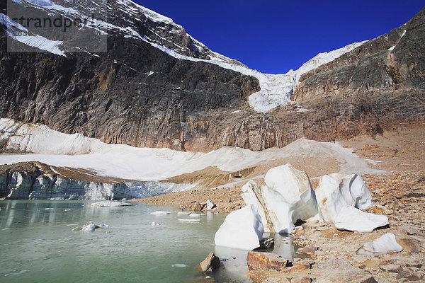 Eisberge am Ufer eines Sees Schmelzwasser unter Angel-Gletscher und Mount Edith Cavell. Teil des Banff-Jasper Rocky Mountain Weltkulturerbe  Jasper-Nationalpark in Alberta  Kanada.