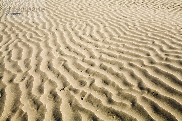 Sanddünen in der große Sand Hügel Ecológica in der Nähe von Zepter  Saskatchewan  Kanada.