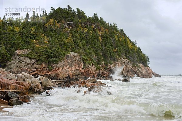 Strand Sturm Ozean schwarz Bach Herbst Atlantischer Ozean Atlantik Kanada Highlands Nova Scotia Neuschottland Wellen brechen