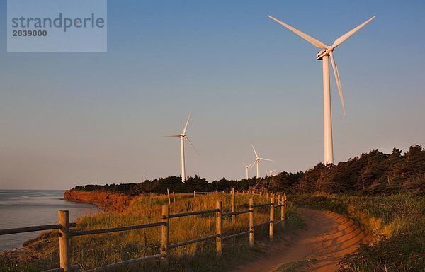 Windturbine Windrad Windräder Energie energiegeladen folgen Prüfung Wind Natur Atlantischer Ozean Atlantik Alternative Windpark Kanada Nordkapp Prince Edward Island