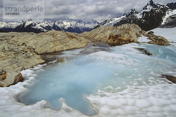 Eine kleine Eiszeit Tarn am Fuße der Illicillawaet Gletscher  Glacier-Nationalpark  British Columbia  Kanada.