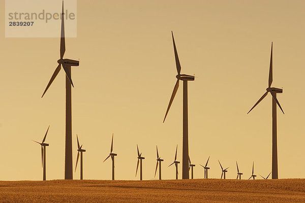 Windturbine Windrad Windräder nahe Bach Windmühle Alberta Kanada