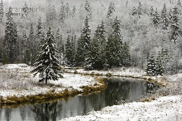 Frisch frühe Winterschnee an Ufern des Junction Creek  lebhafte  Ontario  Kanada.