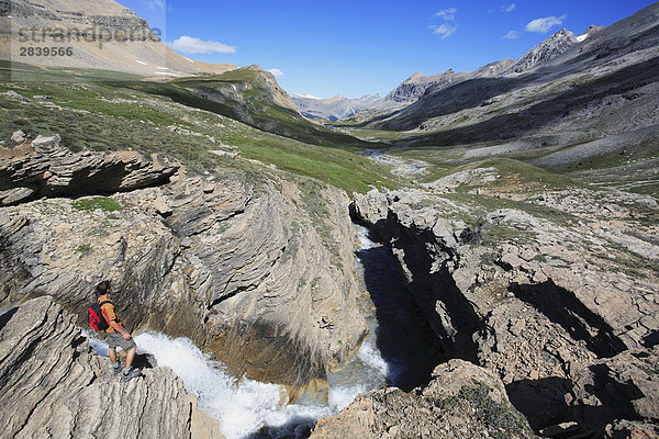 Wanderer genießt einen spektakulären Ausblick das Dolomit Creek Tal im Hinterland von Banff-Nationalpark in der kanadischen Rockies  Alberta  Kanada.