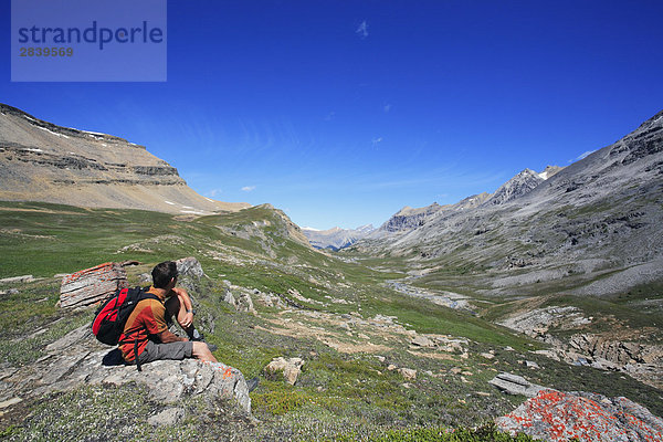 Wanderer genießen die Aussicht im Banff Hinterland an einem Tag wandern in den kanadischen Rocky Mountains  Banff-Nationalpark  Alberta  Kanada.